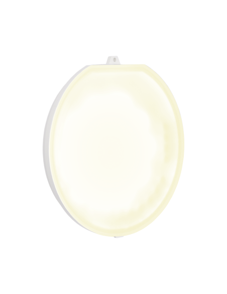 LÁMPARA LUMIPLUS FLEXI CONNECT WW 2750LM 12Vac ASTRALPOOL