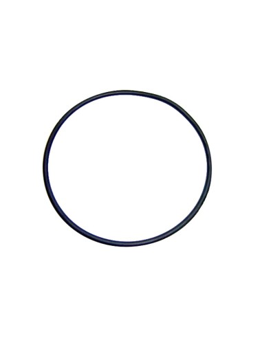 JUNTA TORICA D. 118X4" TAPA PREF.25470 RECAMBIO ASTRALPOOL