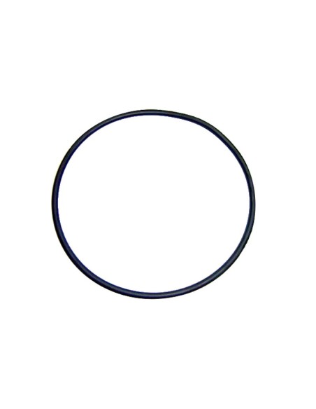 JUNTA TORICA D. 118X4" TAPA PREF.25470 RECAMBIO ASTRALPOOL