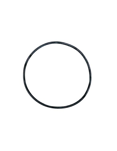 JUNTA TORICA V.PLUS SILENT RECAMBIO ASTRALPOOL