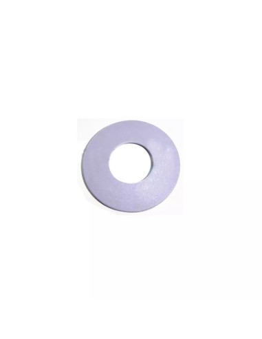 ARANDELA PISTON 32365 - 32366 RECAMBIO ORIGINAL ASTRALPOOL