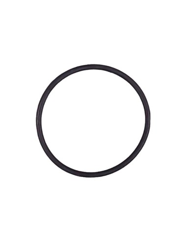 JUNTA EPDM CELULA DOMOTIC 2009 RECAMBIO IDEGIS/ASTRALPOOL