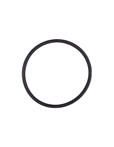 JUNTA EPDM CELULA DOMOTIC 2009 RECAMBIO IDEGIS/ASTRALPOOL