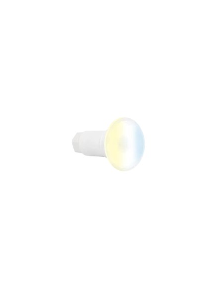 LÁMPARA LUMIPLUS FLEXIMINI WALL CONNECT TW 12Vac ASTRALPOOL